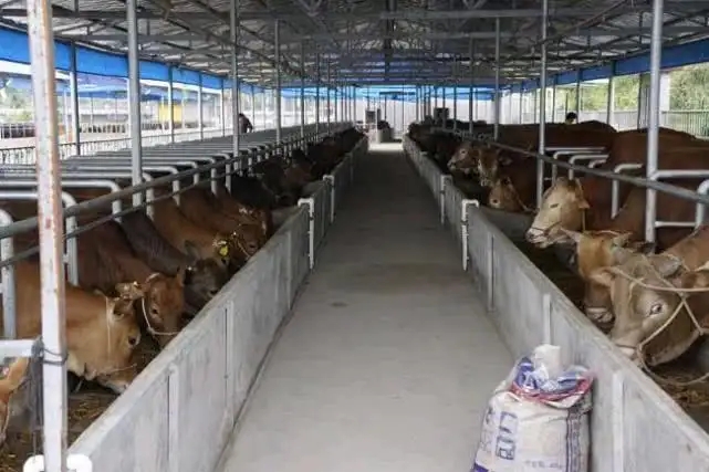 1647672288151878.jpg src=http___inews.gtimg.com_newsapp_bt_0_11834927491_641.jpg&refer=http___inews.gtimg.webp.jpg